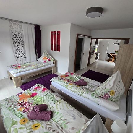 La Casa Suciu Lägenhet Forchtenberg Exteriör bild