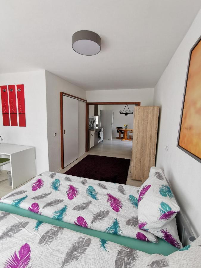 La Casa Suciu Lägenhet Forchtenberg Exteriör bild